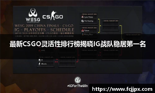 最新CSGO灵活性排行榜揭晓IG战队稳居第一名